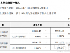 大漲110%、凈賺31億+!鋰電龍頭首發上半年業績預告